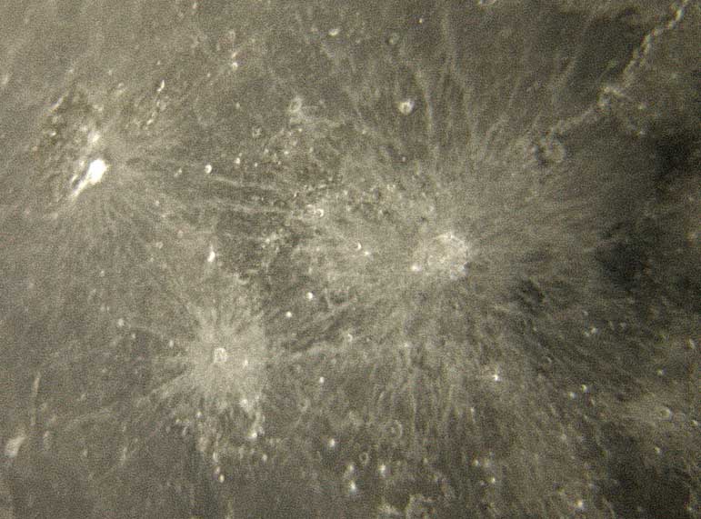 copernicus-kepler.jpg