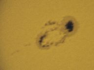 spot2_10_28_03.jpg