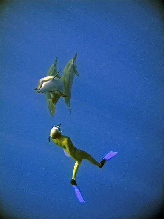 michaelndolphin1