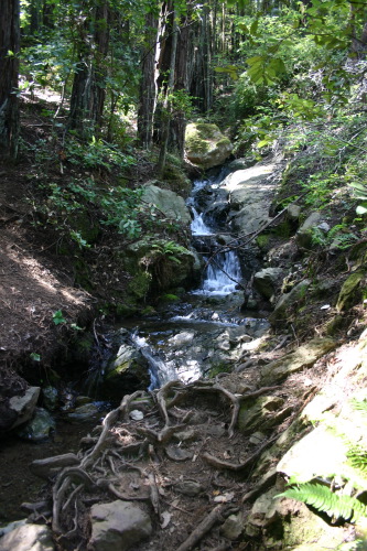 IMG_4472.jpg